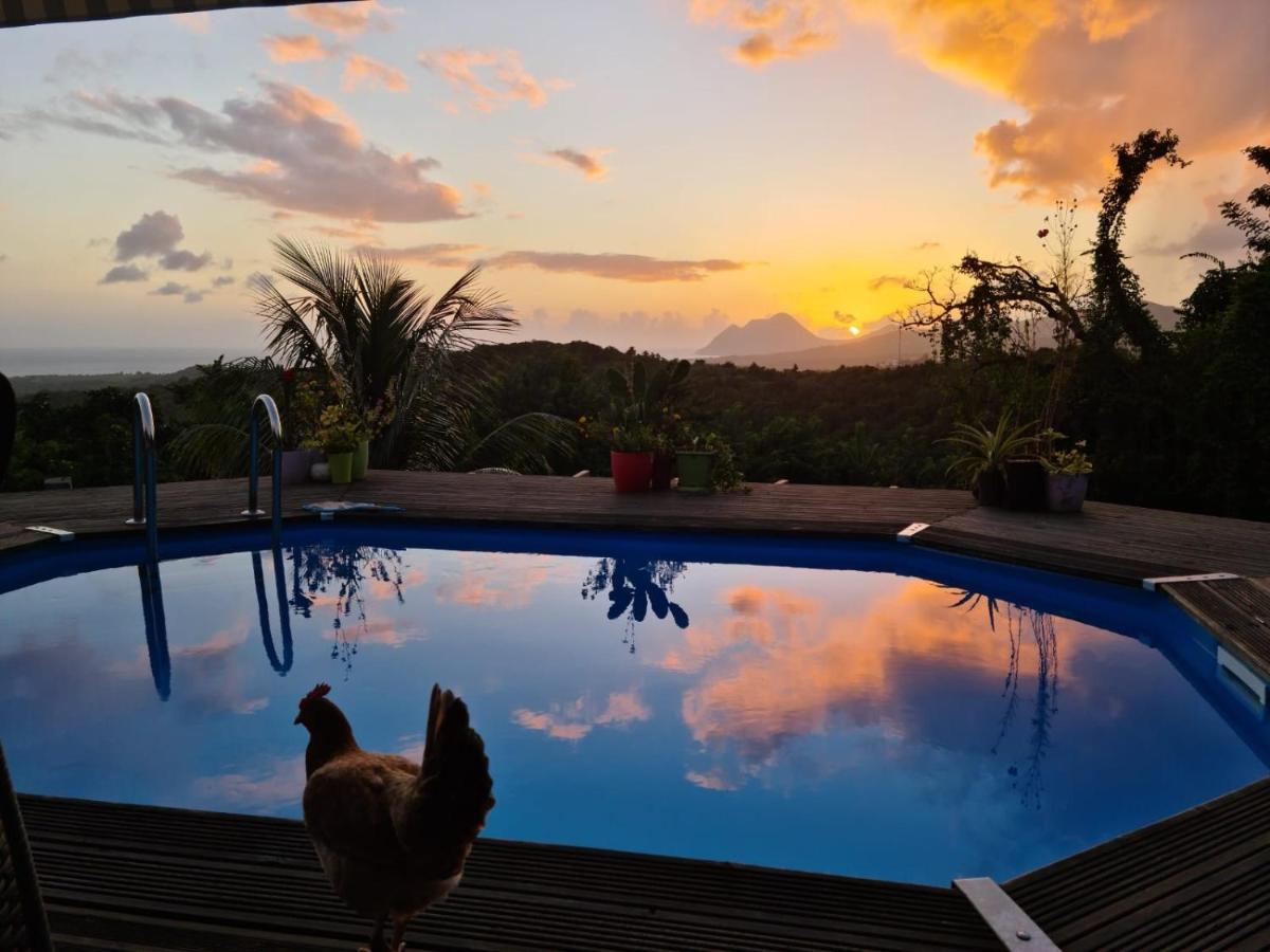 Chambre Chez L'Habitant Avec Piscine Privative Et Vue Panoramique Sur La Mer Des Caraibes Desmarinieres Dış mekan fotoğraf